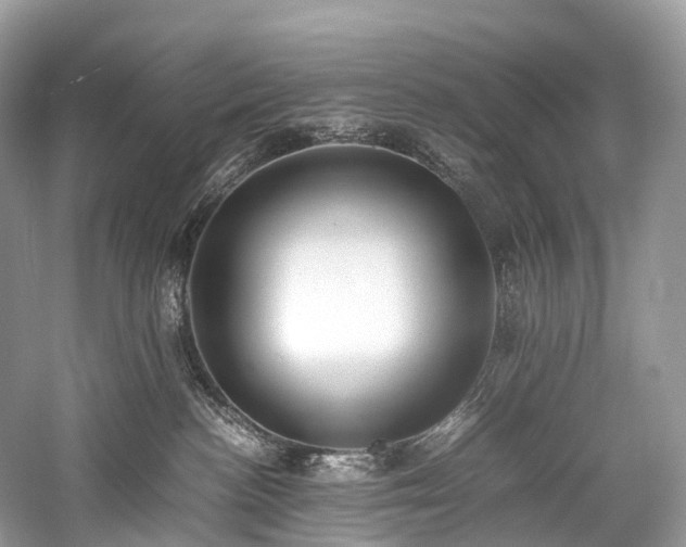 X0000059830188200510211223