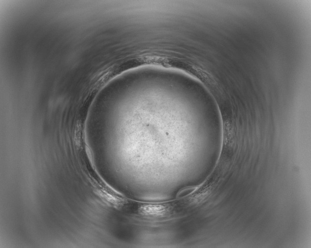 X0000059830189200510211223