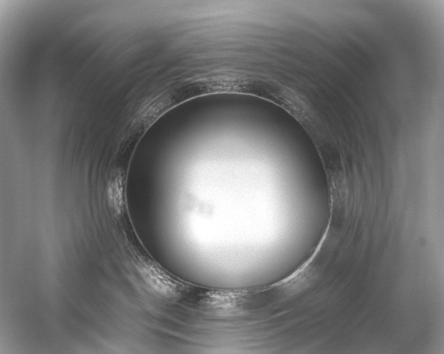 X0000059830190200510211223