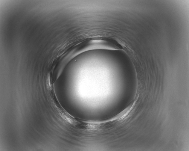 X0000059830192200510211223