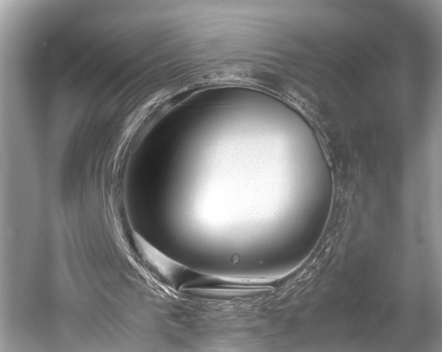 X0000059830193200510211222