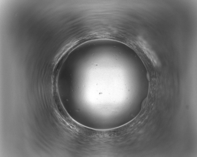 X0000059830194200510211222