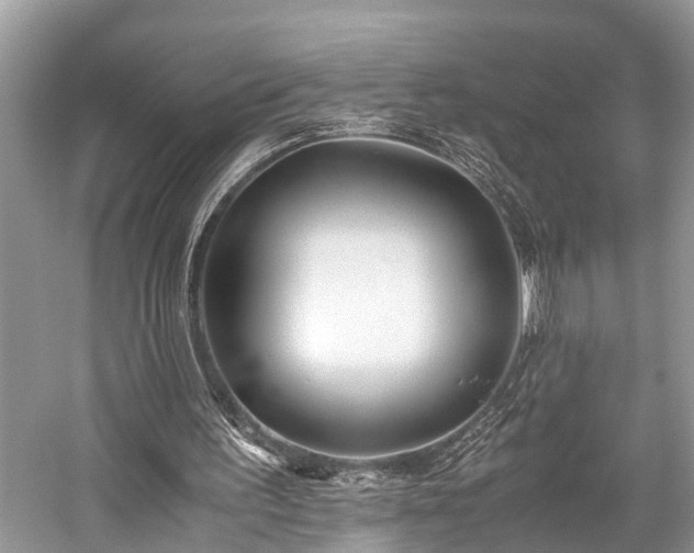 X0000059830195200510211222