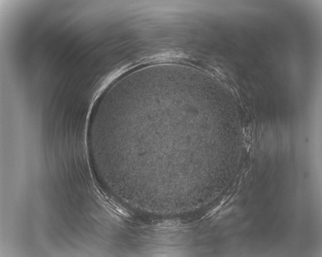 X0000059830196200510211222