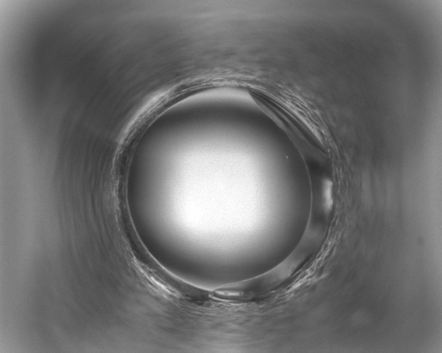 X0000059830197200510211222