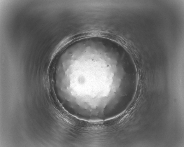 X0000059830198200510211222