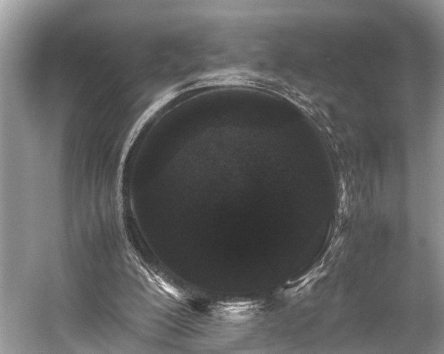 X0000059830200200510211222