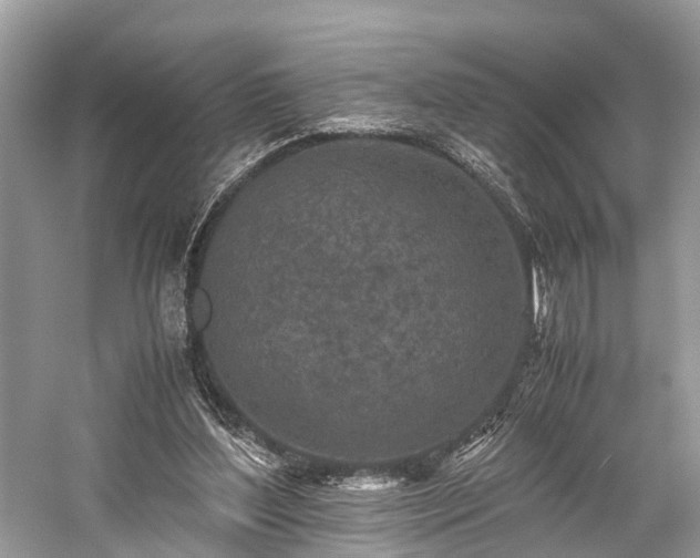 X0000059830204200510211222