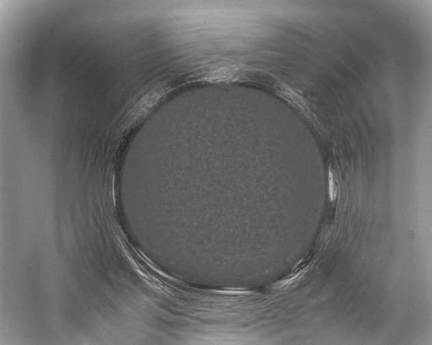 X0000059830205200510211222