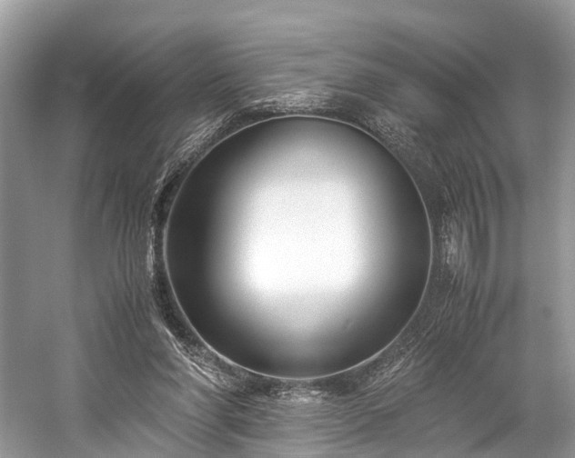 X0000059830206200510211222