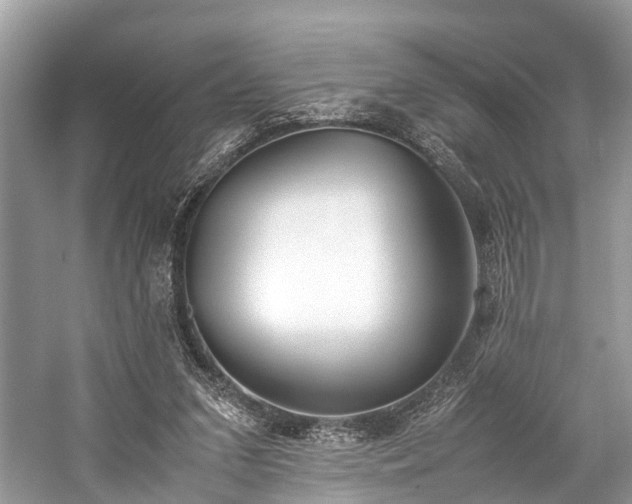 X0000059830207200510211222