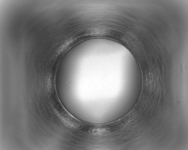 X0000059830208200510211222