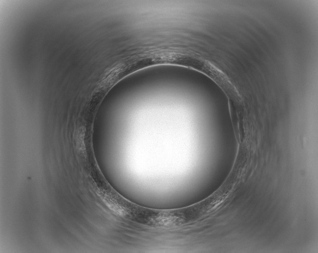 X0000059830209200510211222