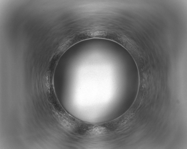 X0000059830210200510211222