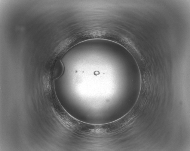 X0000059830212200510211222