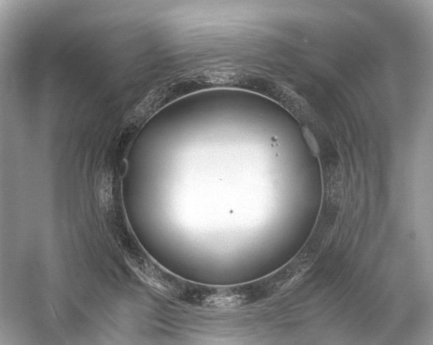 X0000059830213200510211222