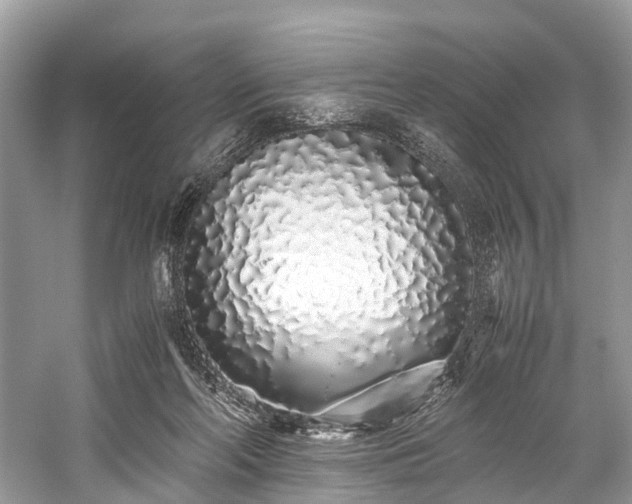 X0000059830214200510211222