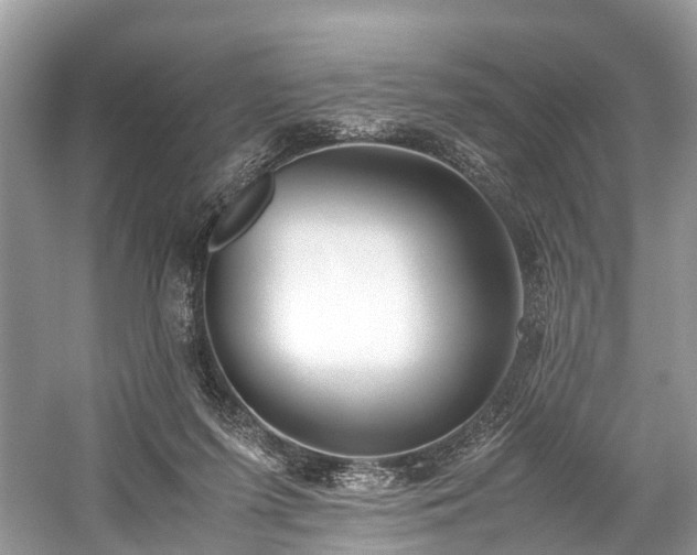 X0000059830215200510211222