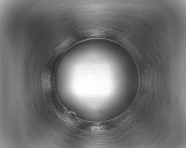 X0000059830216200510211222