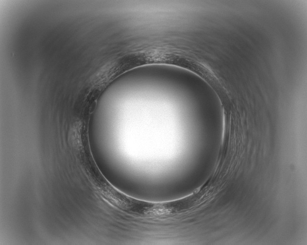 X0000059830217200510211221