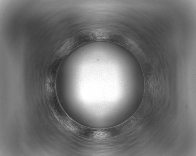 X0000059830218200510211221