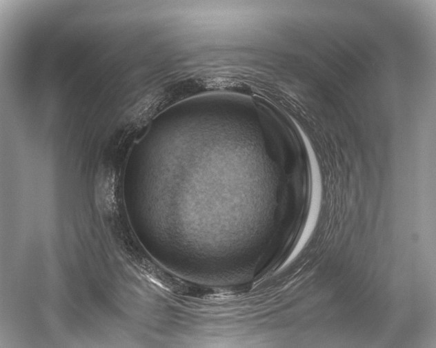 X0000059830219200510211221