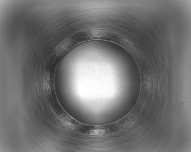 X0000059830220200510211221