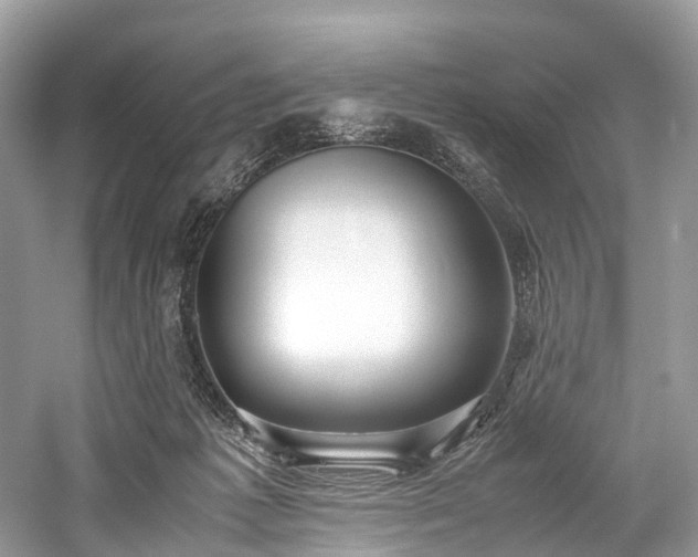 X0000059830221200510211221