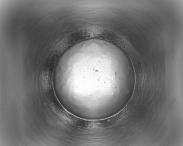 X0000059830222200510211221