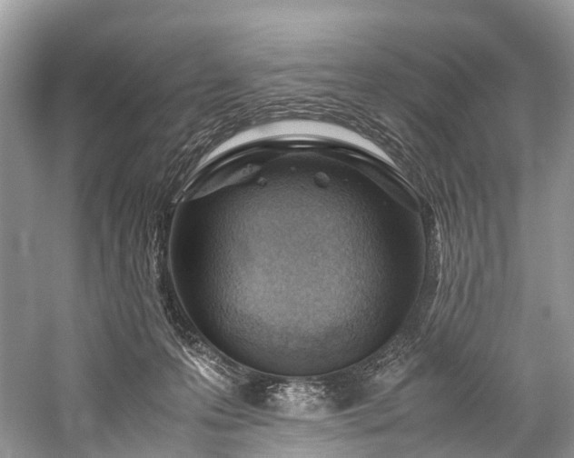 X0000059830223200510211221