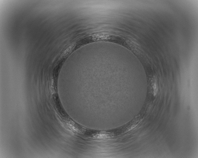 X0000059830224200510211221