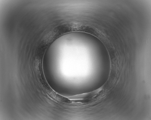 X0000059830225200510211221