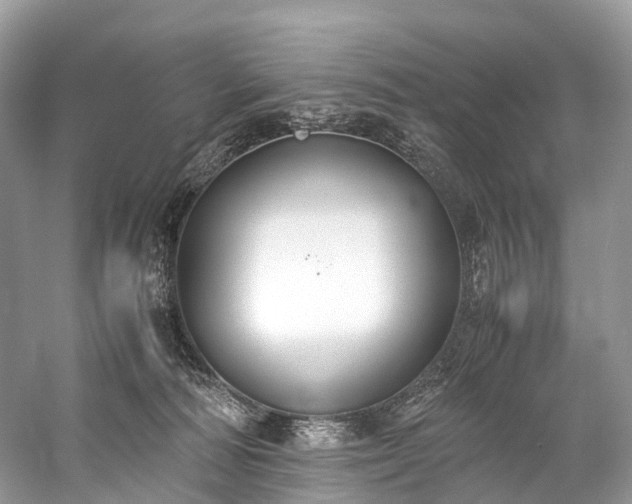 X0000059830226200510211221