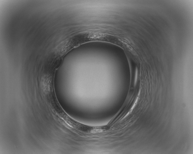 X0000059830227200510211221