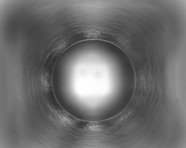 X0000059830228200510211221