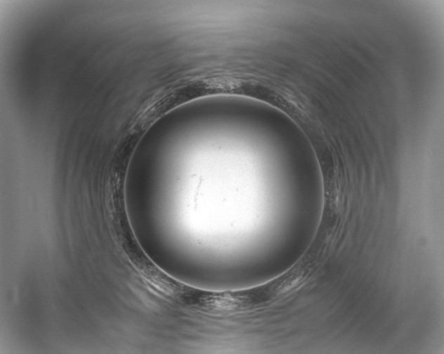 X0000059830229200510211221