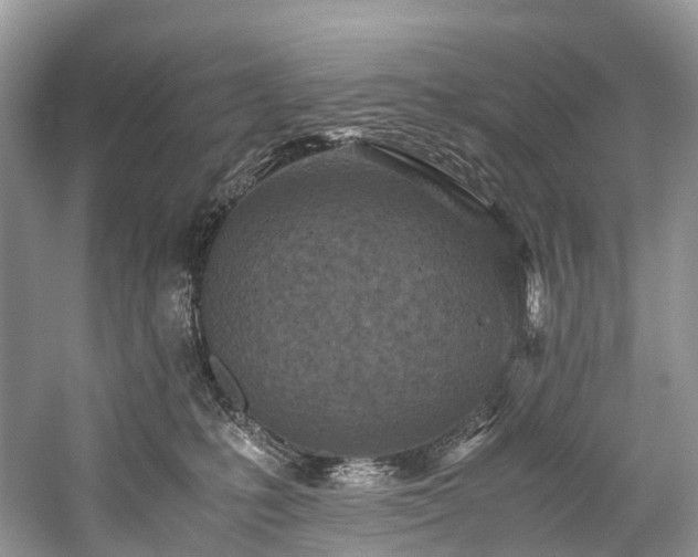 X0000059830231200510211221