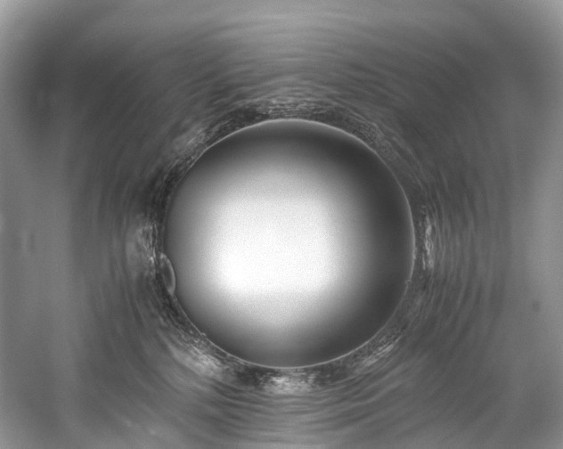 X0000059830232200510211221