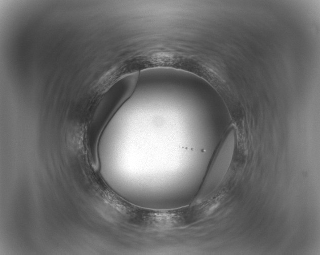 X0000059830233200510211221