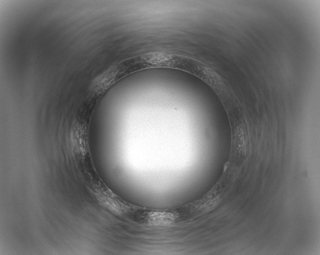 X0000059830234200510211221