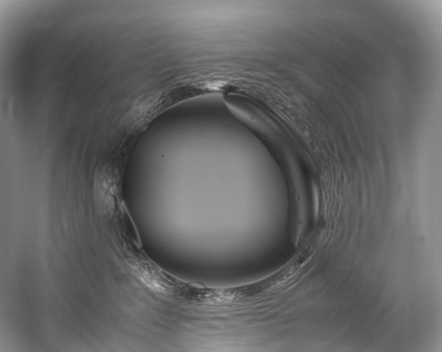 X0000059830235200510211221