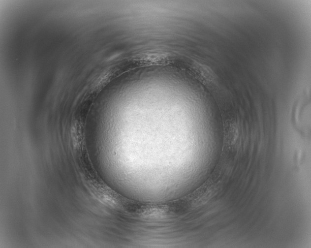 X0000059830236200510211221