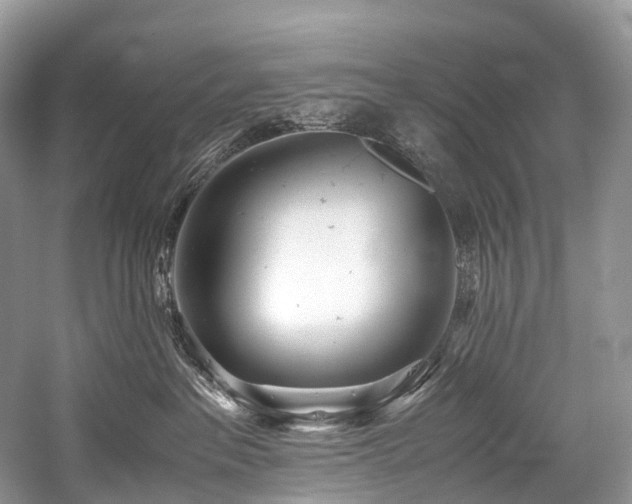 X0000059830237200510211221