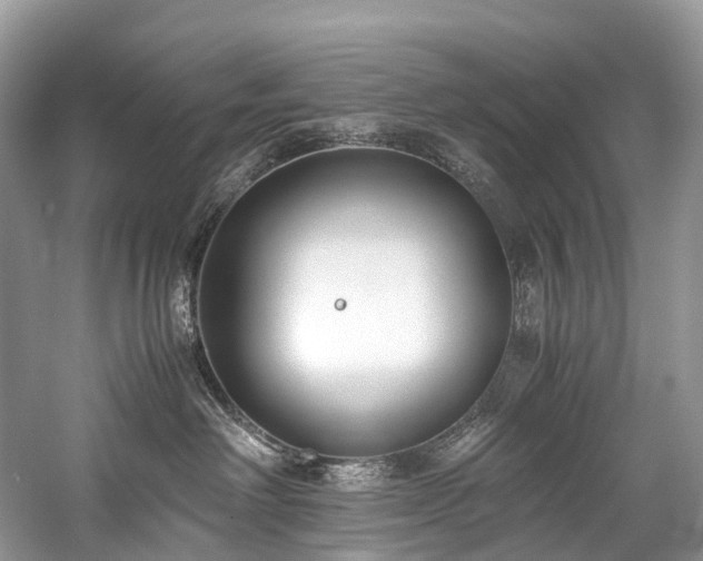 X0000059830238200510211221