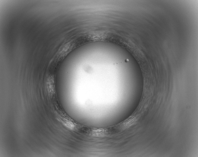 X0000059830240200510211221