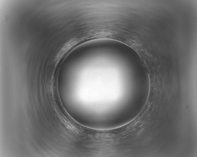 X0000059830242200510211220