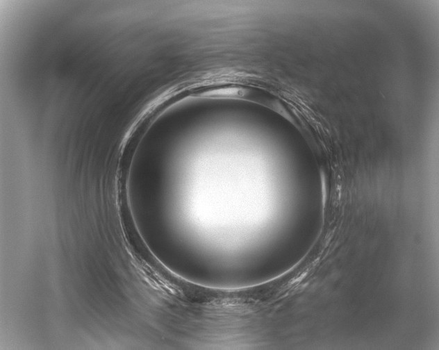 X0000059830244200510211220