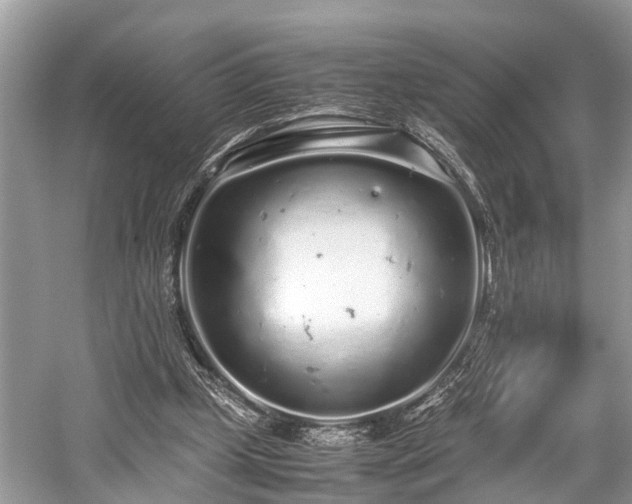 X0000059830249200510211220