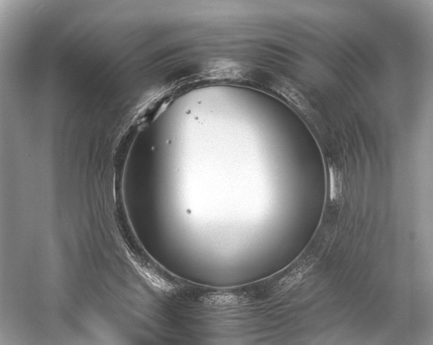 X0000059830253200510211220