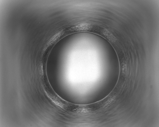 X0000059830254200510211221